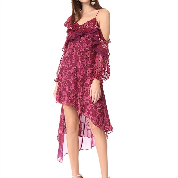 Self-Portrait Dresses & Skirts - Self-Portrait Devore Dress